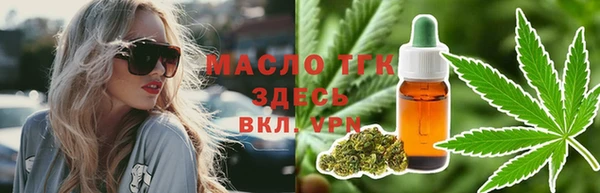 гашик Вяземский