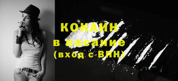 гашик Вяземский