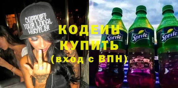 гашик Вяземский