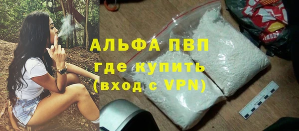 гашик Вяземский
