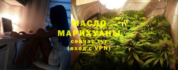 гашик Вяземский