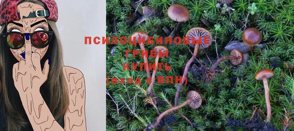 apvp Елизово