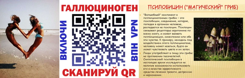 Псилоцибиновые грибы GOLDEN TEACHER  hydra   Губкин 