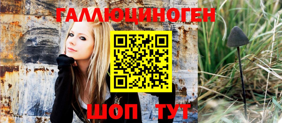 Псилоцибиновые грибы Cubensis  наркошоп  Губкин 