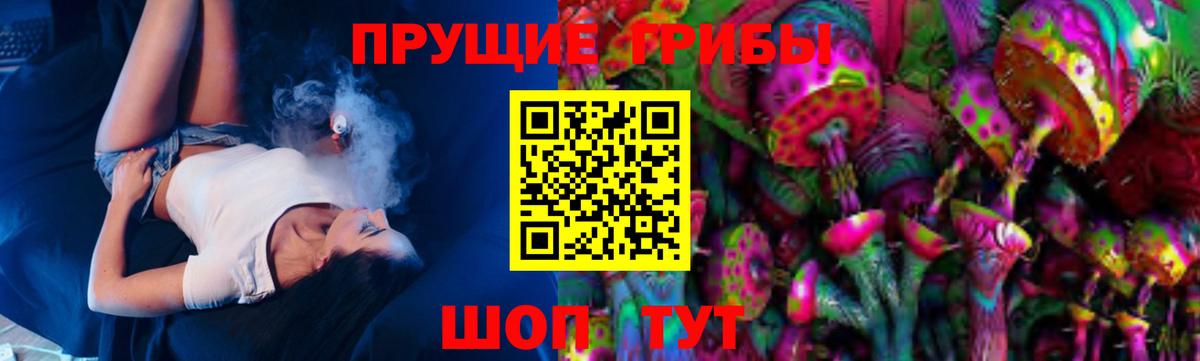 Псилоцибиновые грибы Magic Shrooms Губкин